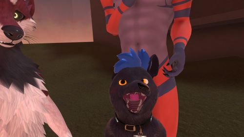 VRChat_2023-02-28_15-32-01.552_1920x1080.png