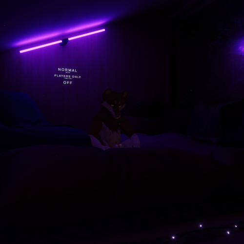 VRChat_2023-04-23_03-15-17.321_1920x1080