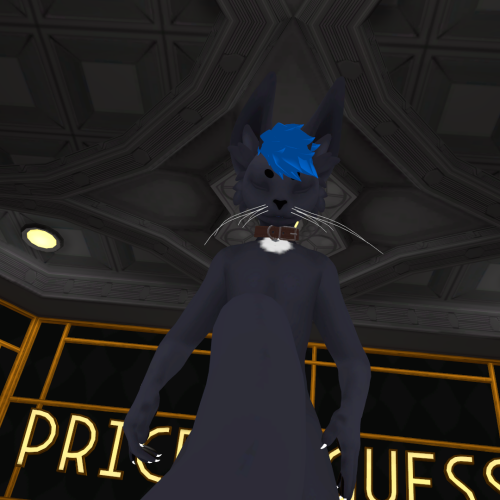 VRChat_2023-05-14_01-16-45.900_1920x1080