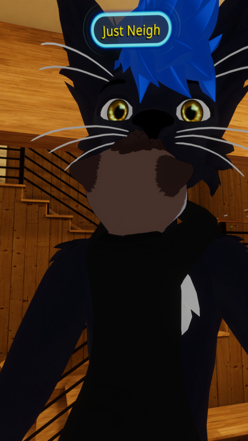 VRChat_2023-05-20_21-26-36.230_1080x1920.png