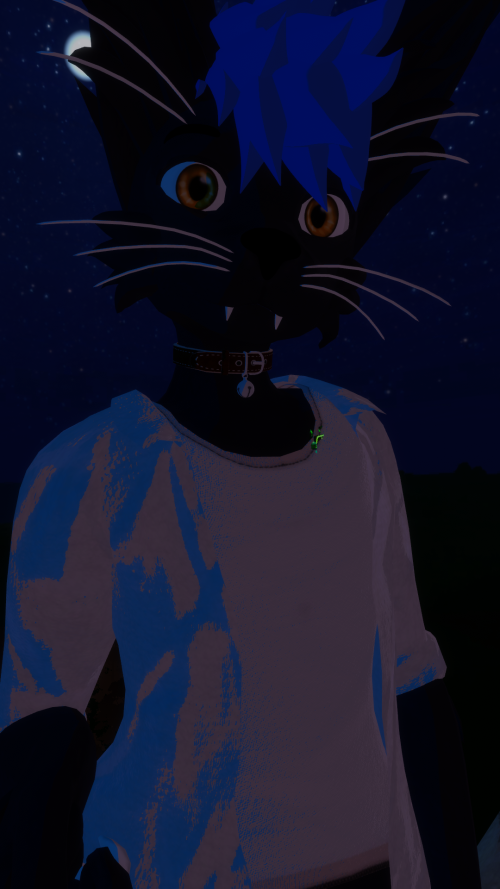 VRChat_2023-06-03_03-32-20.687_1080x1920.png