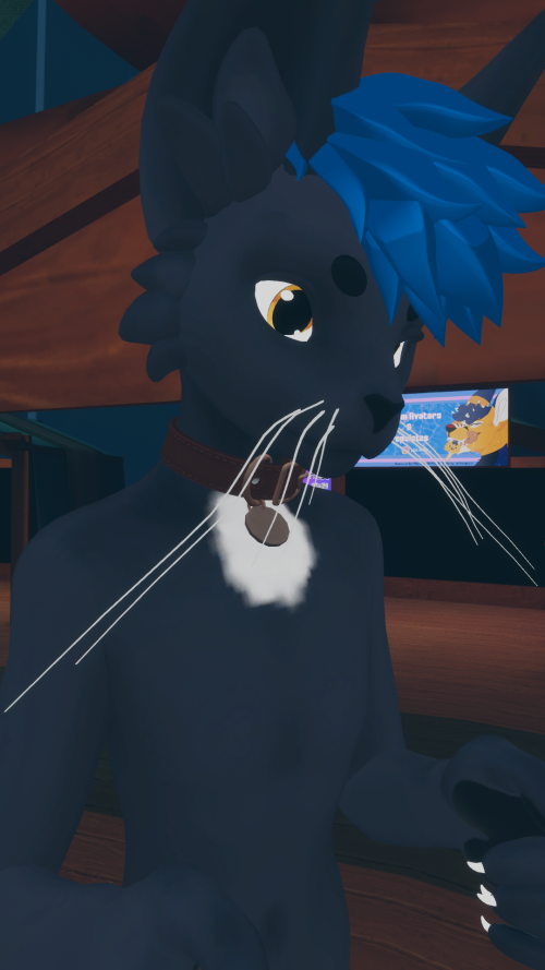 VRChat_2023-06-03_23-54-53.647_1080x1920.png