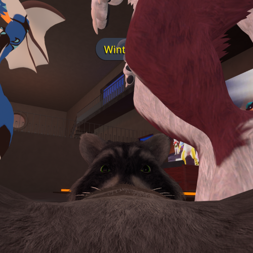 VRChat_2023-06-17_20-51-46.688_1920x1080