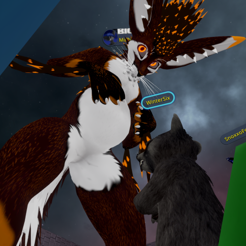 VRChat_2023-06-17_22-27-42.813_1920x1080