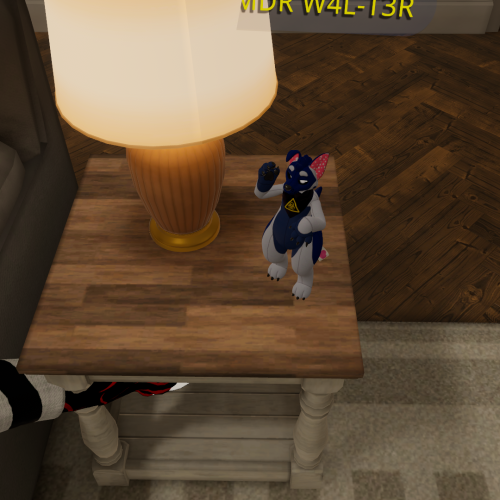 VRChat_2024-08-11_18-17-23.358_1920x1080