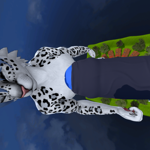 VRChat_2024-09-06_22-55-28.281_1920x1080