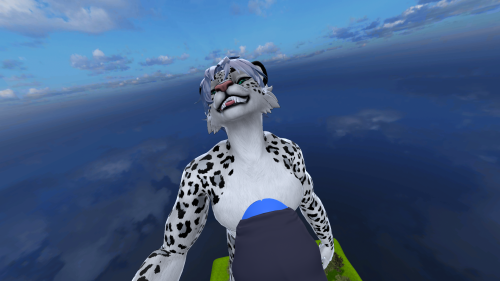 VRChat_2024-09-06_22-55-32.475_1920x1080.png