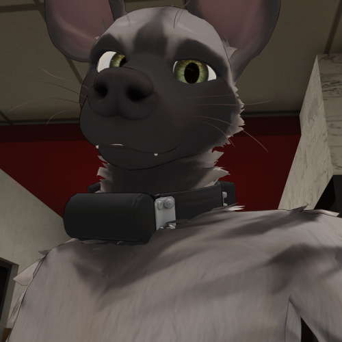 VRChat_2024-12-20_23-27-59.626_1920x1080