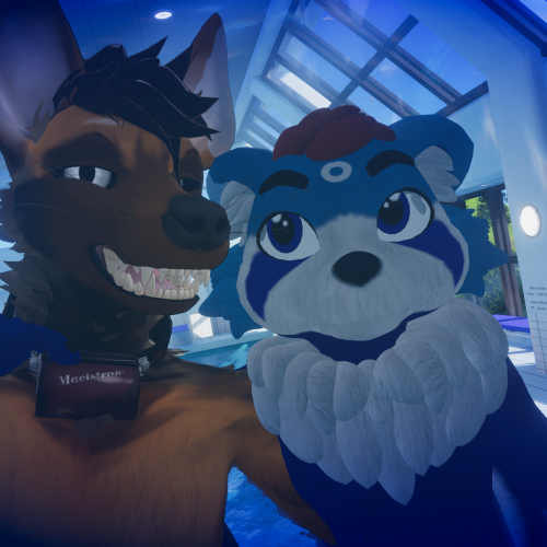 VRChat_2025-01-18_00-21-19.008_1920x1080