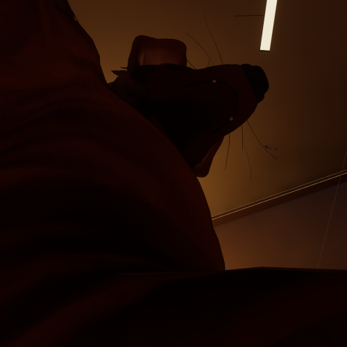 VRChat_2025-02-28_22-02-28.568_1920x1080