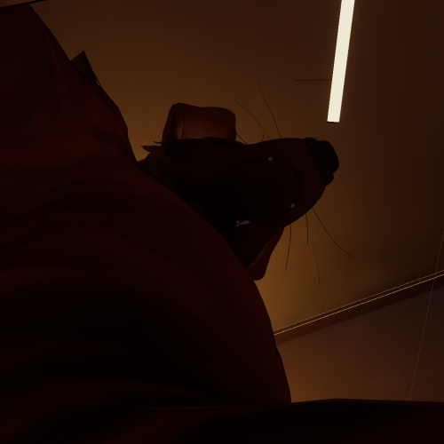 VRChat_2025-02-28_22-02-29.884_1920x1080