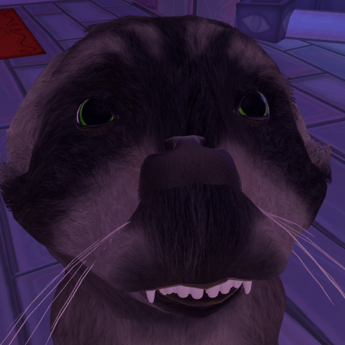 VRChat_2025-03-14_21-33-11.312_1920x1080