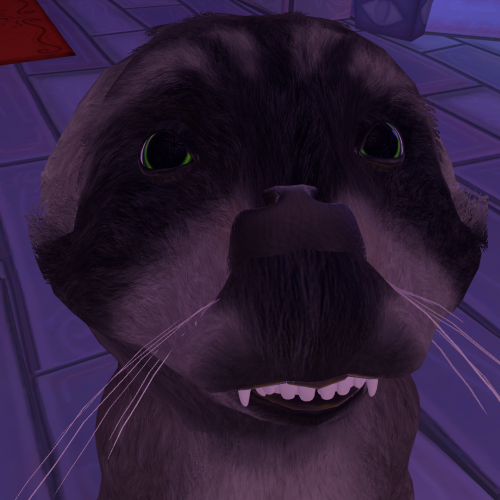 VRChat_2025-03-14_21-33-12.784_1920x1080