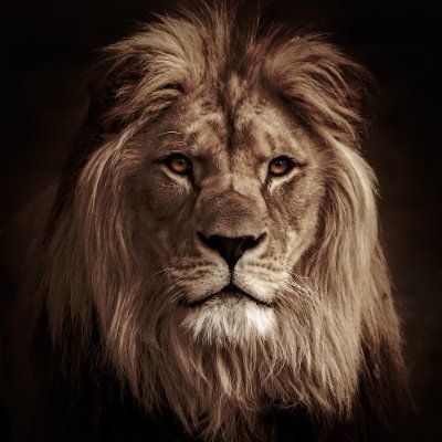 AskSatoshi