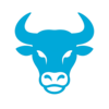 VizBull