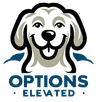 Options Elevated