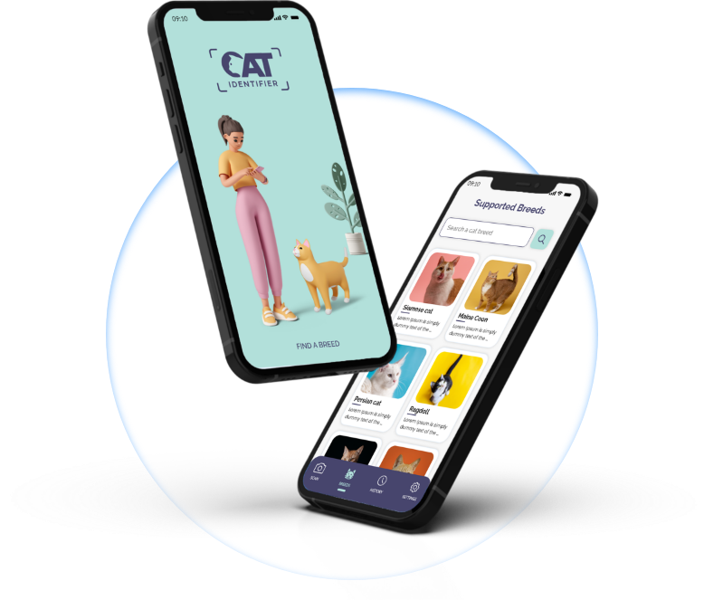 Cat Identifier