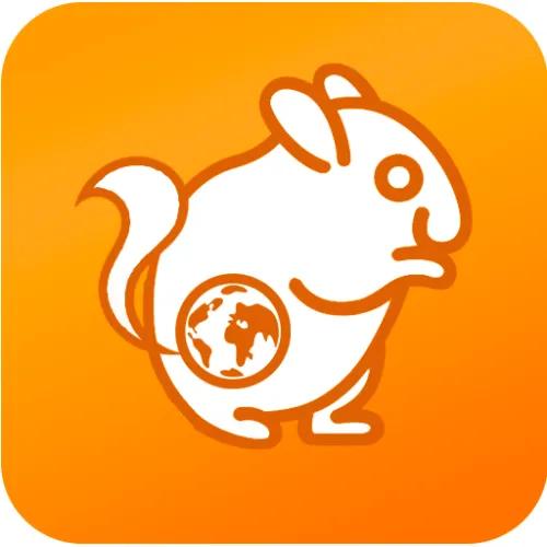 Browser Use