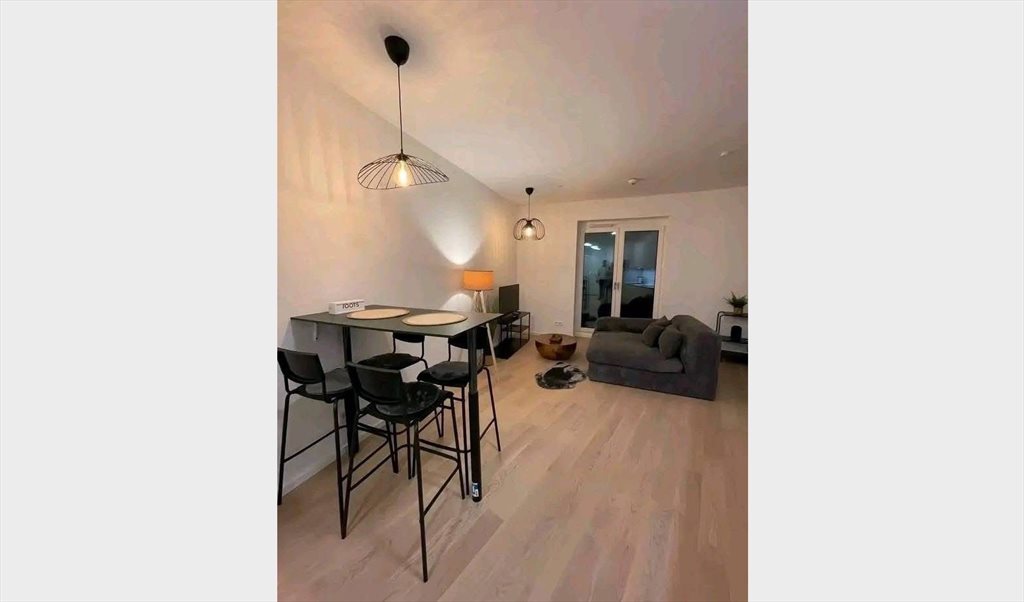 Image of Belgique Charmant Appartement rénové avec terrasse spacieuse 3