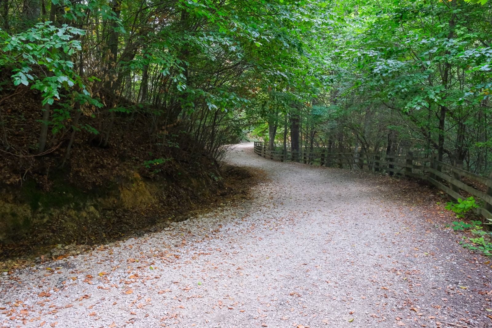 Traseul vechi către Poiana Brașov - aleea de promenadă, iluminată între Pietrele lui Solomon și Poiana Mică