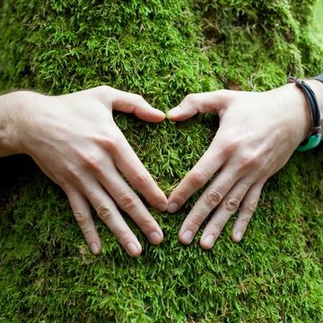 Primăria Brașov a elaborat un ghid de activități pentru săptămâna verde destinat elevilor din oraș