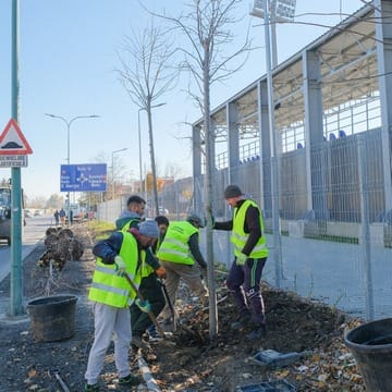 Primăria Brașov a dat startul campaniei de plantări de toamnă: 400 de arbori noi în oraș