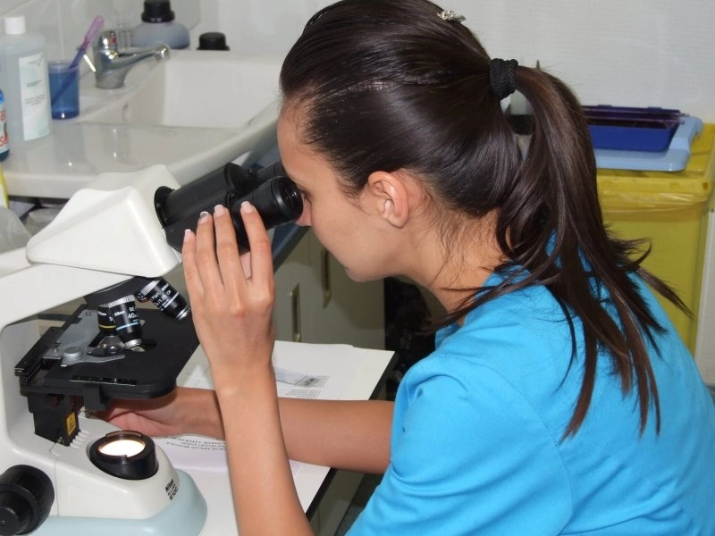 -profit-cu-analizele-copiilor-