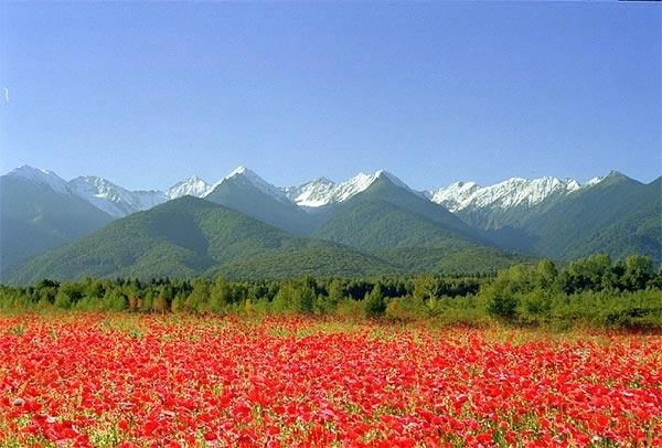 17-milioane-de-lei-pentru-promovarea-muntilor-fagaras