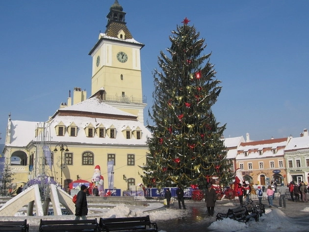 a-fost-adus-bradul-de-craciun-din-piata-sfatului