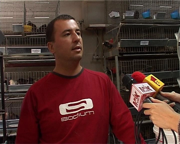 afacere-de-milioane-cu-prepelite