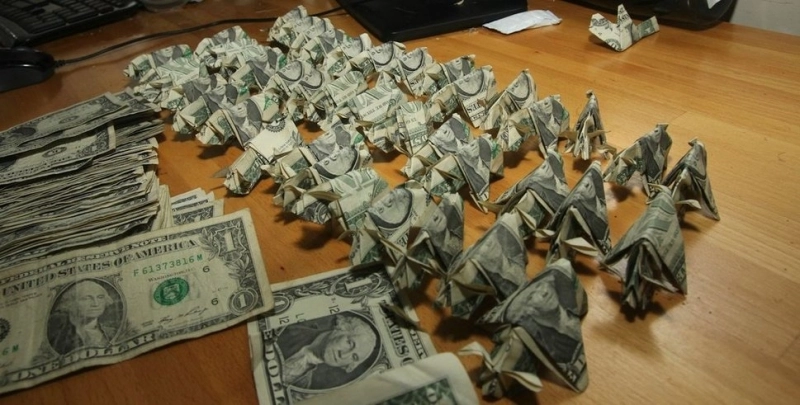 amenda-platita-cu-porcusori