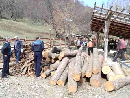 amendat-pentru-lemnele-de-foc-fara-acte