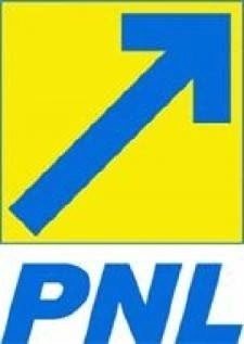 andronache-nu-are-ce-cauta-in-pnl