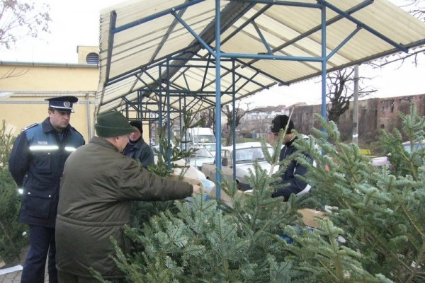 apar-brazii-in-piete