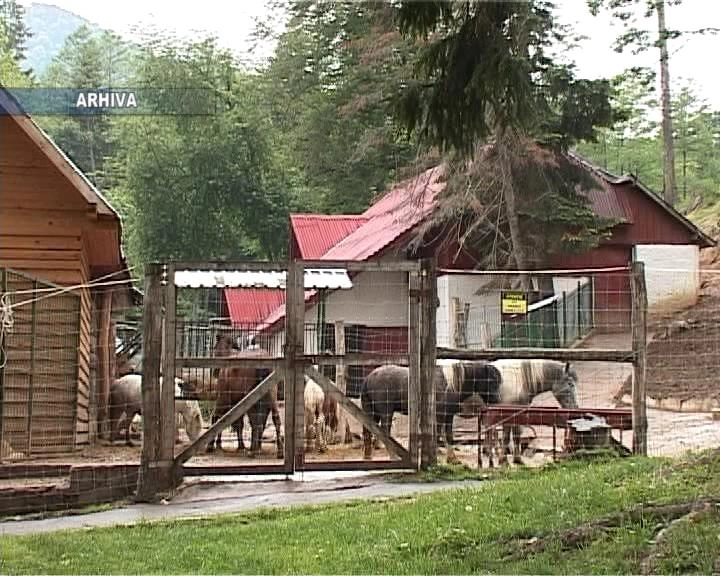 au-venit-banii-pentru-lucrarile-de-la-zoo