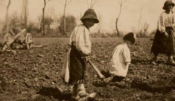 cercetarile-lui-gusti-de-la-dragus-brasov-sunt-pe-dvd