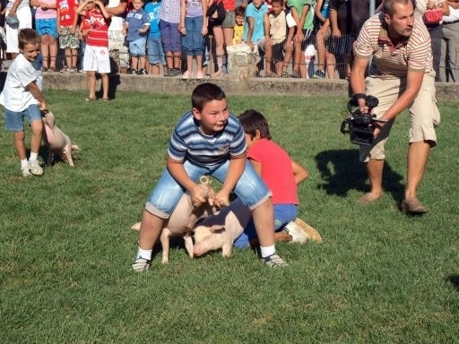 concurs-de-prins-purcei-