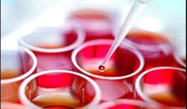 criterii-stricte-pentru-recoltarea-de-celule-stem