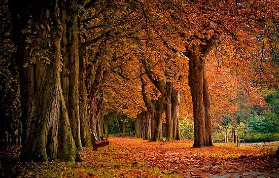 cum-va-fi-vremea-in-urmatoarele-doua-saptamani