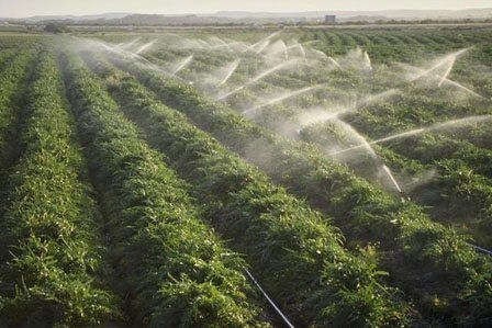 depunerea-proiectelor-pentru-irigatii-a-fost-prelungita