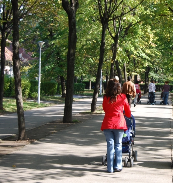 dosarele-mamicilor-care-siau-luat-concediu-postnal-luate-la-puricat