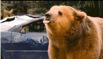 faza-zilei-reclama-asta-ar-fi-interzisa-in-romania-video