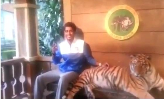 faza-zilei-voia-poza-cu-tigrul-video