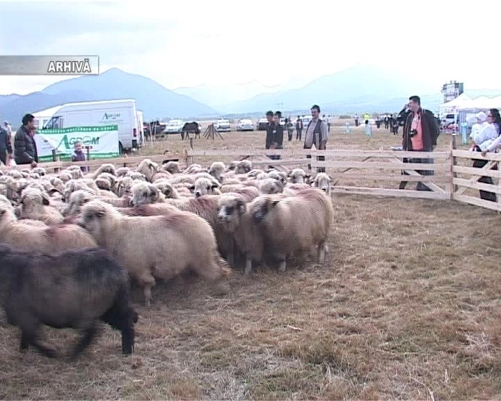 festivalul-oierilor-in-weekend