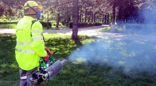 incepe-campania-de-toamna-de-deratizare