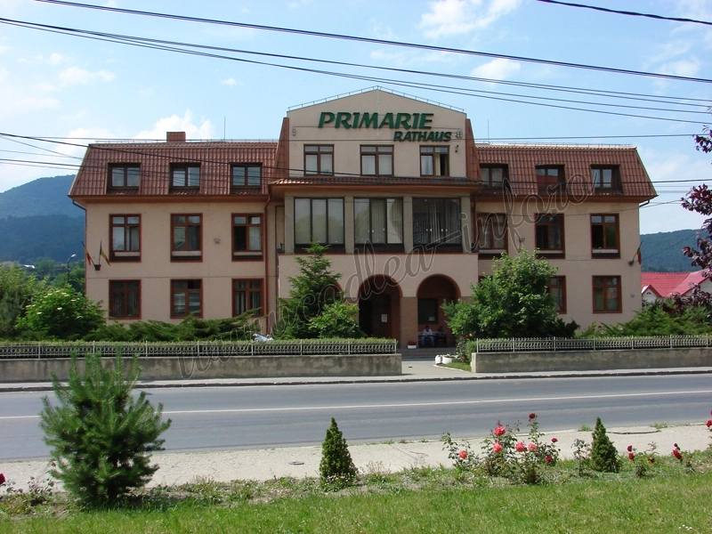 insomnii-matasoase-la-codlea