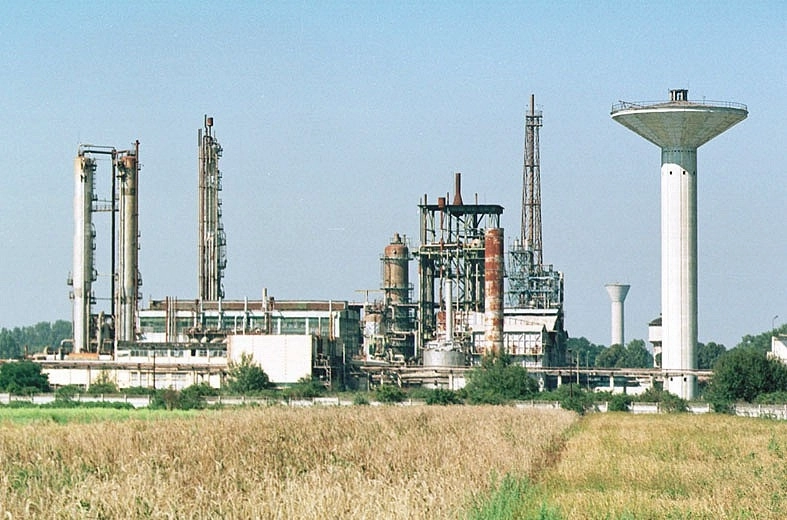 la-nitramonia-se-fura-ca-in-codru