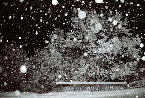 ninge-de-mos-nicolae