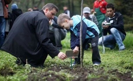plantari-de-copaci-la-scoala-generala-nr-19-din-brasov