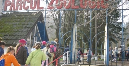 primaria-se-lupta-cu-smecherii-imobiliari-